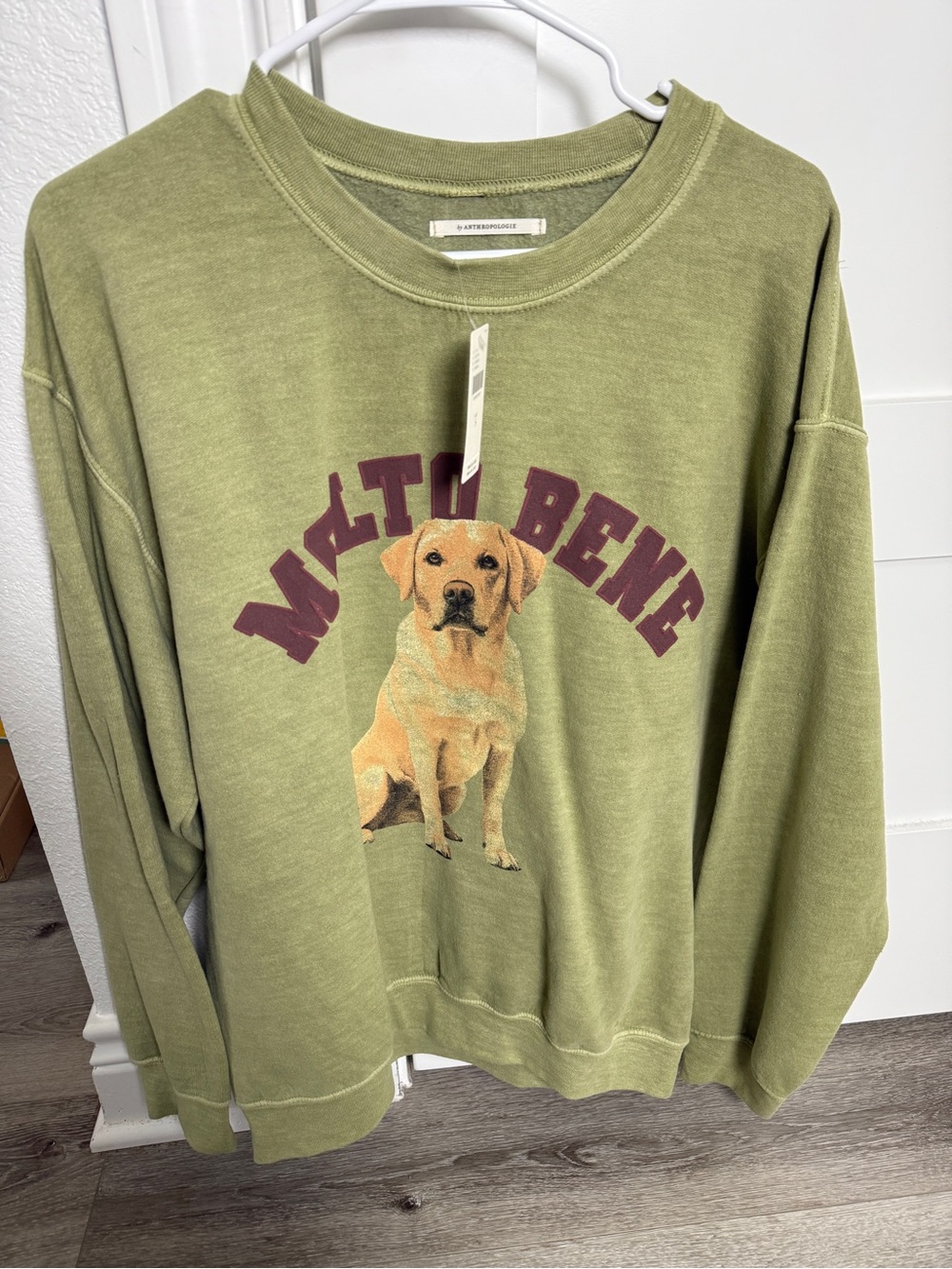 Molto Bene Green Dog Graphic Sweatshirt Anthropologie